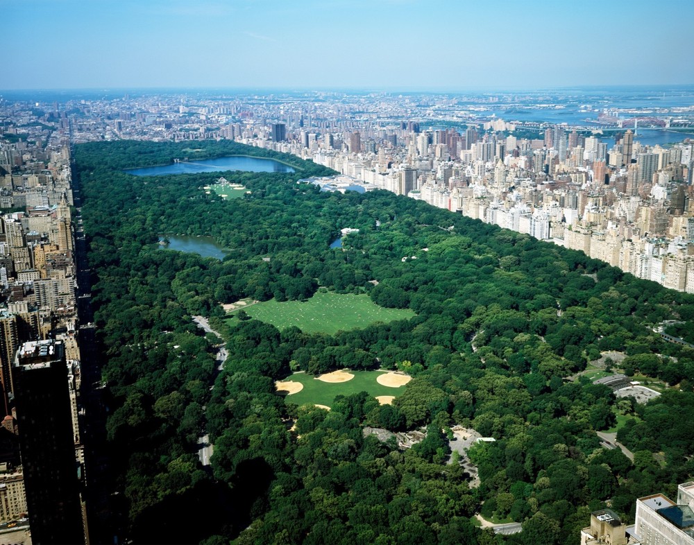 Aerial view of Central Park, New York 11×14 Photograph Print 11″x14″