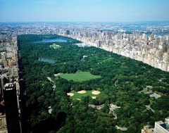 Aerial view of Central Park, New York 11×14 Photograph Print 11″x14″