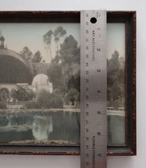 Hand Tint Oil Color Photo Botanical Bldg Balboa Park Ca 8”x12” 1915 Exposition