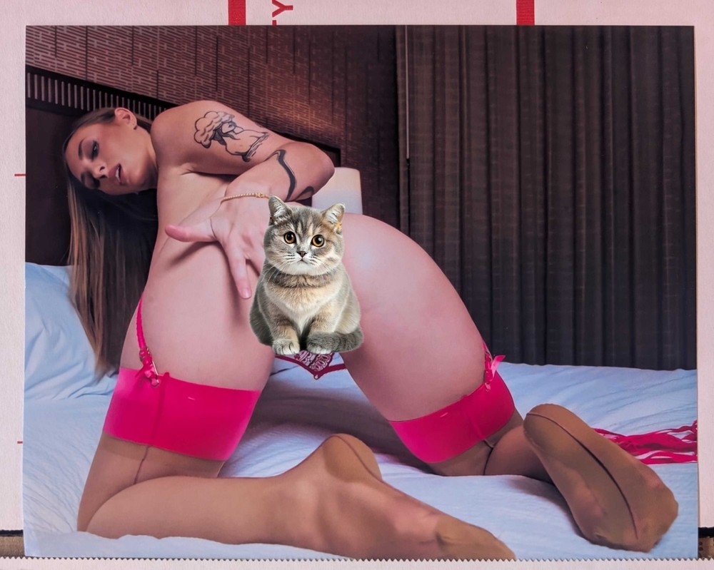 Angel Youngs 8×10 Photo Print Beautiful Tattoo Model Picture Onlyfans Pornstar