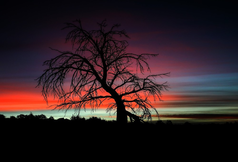 METAL PHOTOGRAPHY MONTANA LANDSCAPE PRINT ART 24″ X 36″ – VIBRANT SKY