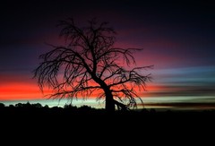 METAL PHOTOGRAPHY MONTANA LANDSCAPE PRINT ART 24″ X 36″ – VIBRANT SKY