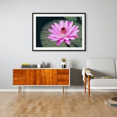 Pink Water Lily 01 XL Giclee Fine Art Print 20 x 30 inches unframed
