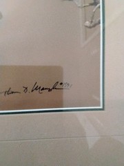 Thomas D Mangelsen Signed & Numbered «African Colors – Lilac Breasted Roller»