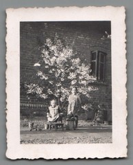 Bundle of 6 Photos Children Buttstädt Thuringia Pram Tricycle 1930s (F1264)