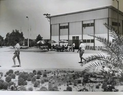 TOTAL Oil Exploration 1950 Photo 24 X 19 Hassi Messaoud /Alain Pol No16
