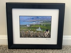 Travel Photography – Irish Dog Print