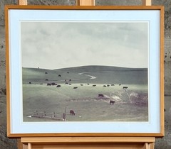 COLE WESTON, «PALO CORONA RANCH» SIGNED C-PRINT PHOTOGRAPH
