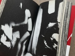 🎈SIGNED! Daido Moriyama – Japan, A Photo Theater, 2011 Kodansha, Japan Sup RARE