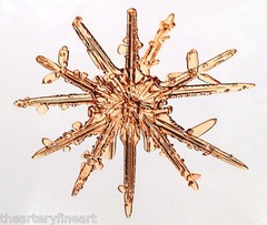MIKE & DOUG STARN TWINS ‘Sno7,1_016 (Snowflake)’, 2005 SIGNED Photograph **NEW**