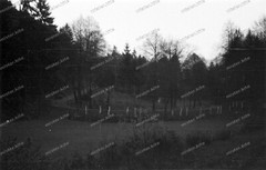 Negative-Thuringia-Wartburgkreis-Landscape-Road-Forest-Nature-1930s-154