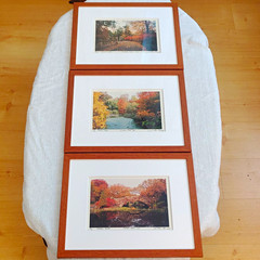 Michael Chen Signed Limited Edition Photo Set of 3 Matted & Framed Central Park