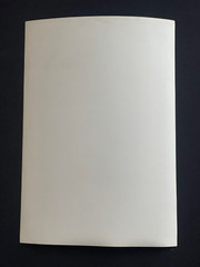 Rare Vintage Original Photo Siegel Stockman Mannequin Female Fetish Curiosa