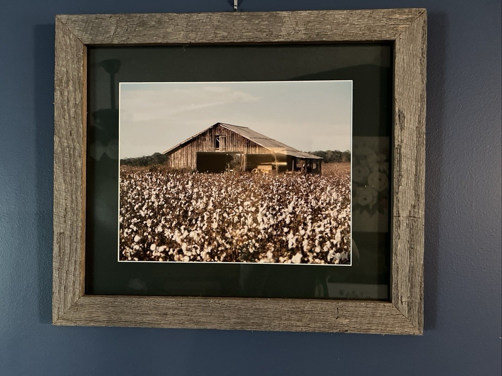 Framed Photograph Rustic Southern Barn In Cotton Field Grey Wooden Frame 21X18”