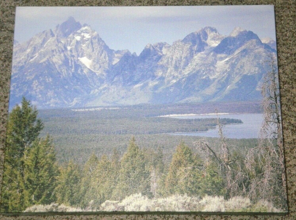 4 Canvas Prints Wall Art Grand Tetons Jackson Wyoming Colter Bay Mt Moran Bison