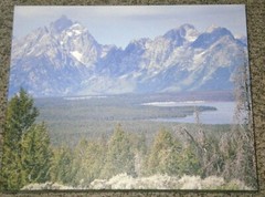 4 Canvas Prints Wall Art Grand Tetons Jackson Wyoming Colter Bay Mt Moran Bison