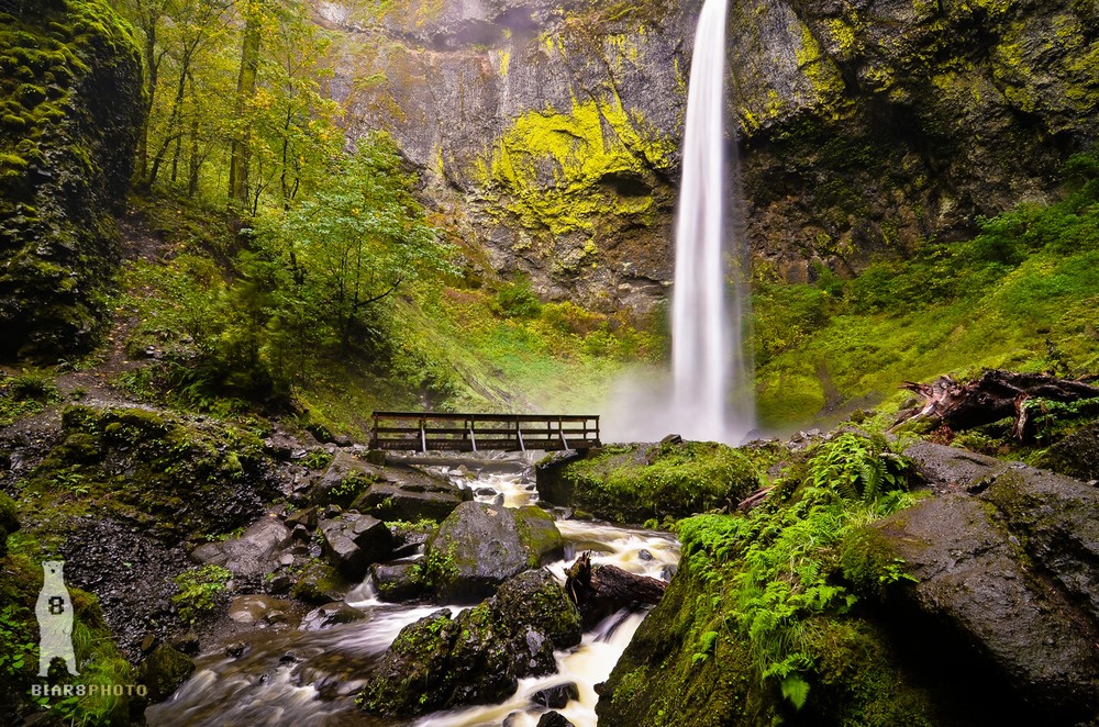 Elowah Falls – Columbia River Gorge – Oregon Waterfalls – PNW Fine Art Prints