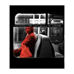 Ed Templeton City Confessions #2 London 1st Ed Photo Book New Rare