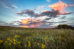 Great Plains Photography Print – Picture of Tallgrass Prairie in Oklahoma
