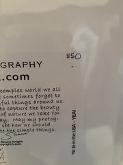 Shane Knight Signed & Numbered Photograph «Fallen» Napa, CA. Limited Ed. No 850