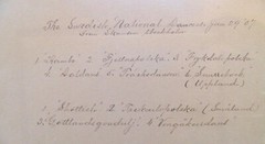 Antique Photo 1907 ~ Swedish National Dancers Stockholm Sweden w/ Names ~ 8″x10″