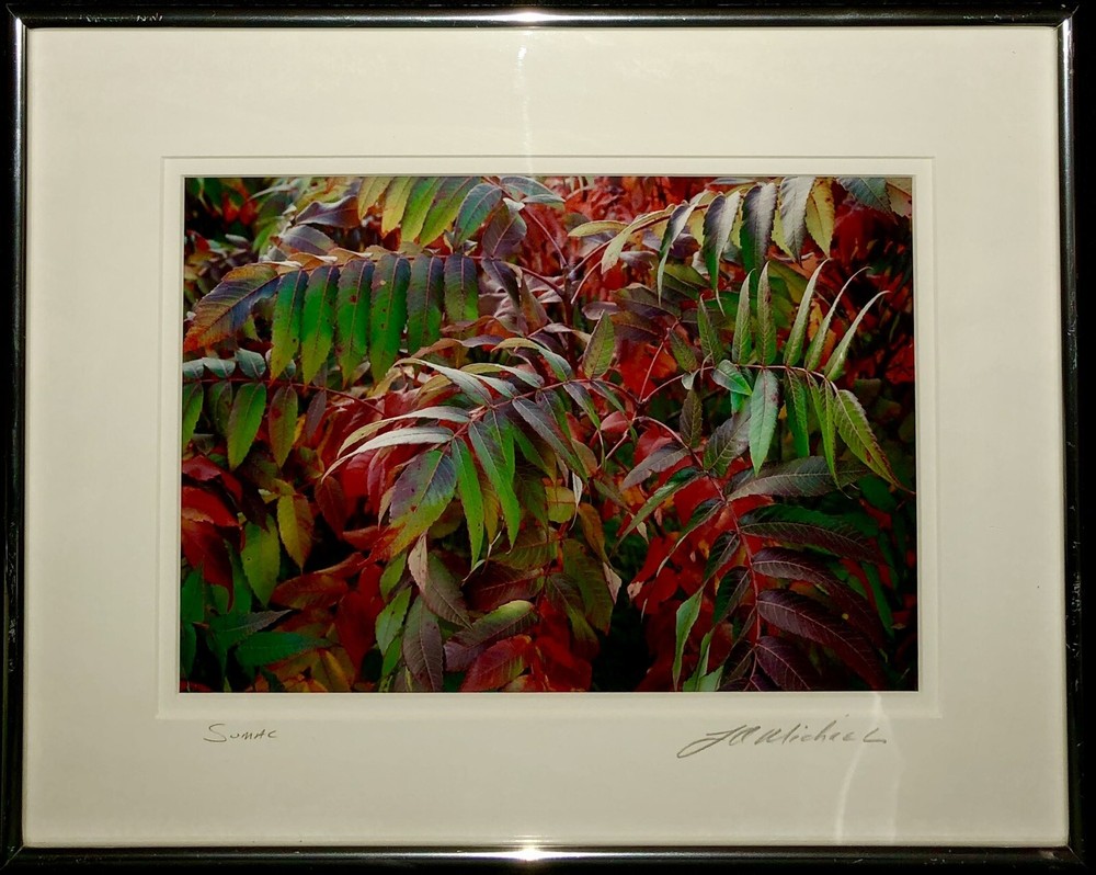 J A Micheal Signed Print Framed SUMAC Arborist Flowers Garden Home Decor 14×11