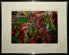 J A Micheal Signed Print Framed SUMAC Arborist Flowers Garden Home Decor 14×11