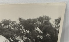 Arthur Gray Standard Oil Photographer Cleveland Ohio Americana Canoe River Look!