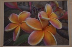 Set of (2) Hawaiian Flowers Orchid & Plumeria Photos By Michael Cheang