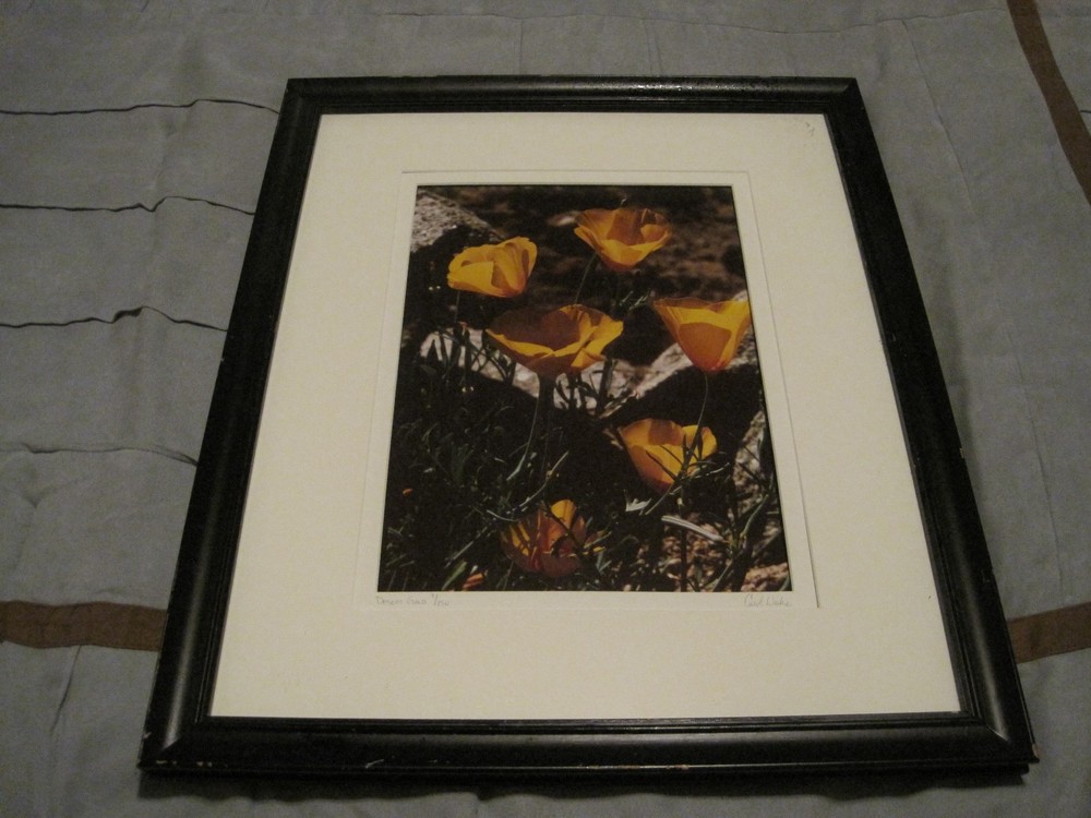 Carol Weeks Floral LE 3/150 Framed and Matted Photograph 22×18″