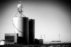 Fine Art Photography, 8×12 Black and White print, 3W Farms, Holdredge, Nebraska