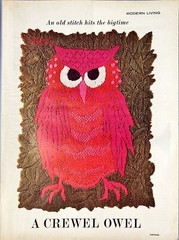 A Crewel Stitched Owel Print/Picture from LIFE Magazine March 15, 1963