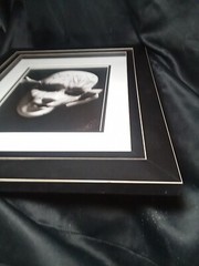 Original Art Black And White Photo (8×10) Matted And Framed 17.25×14.5 NOLA Mask