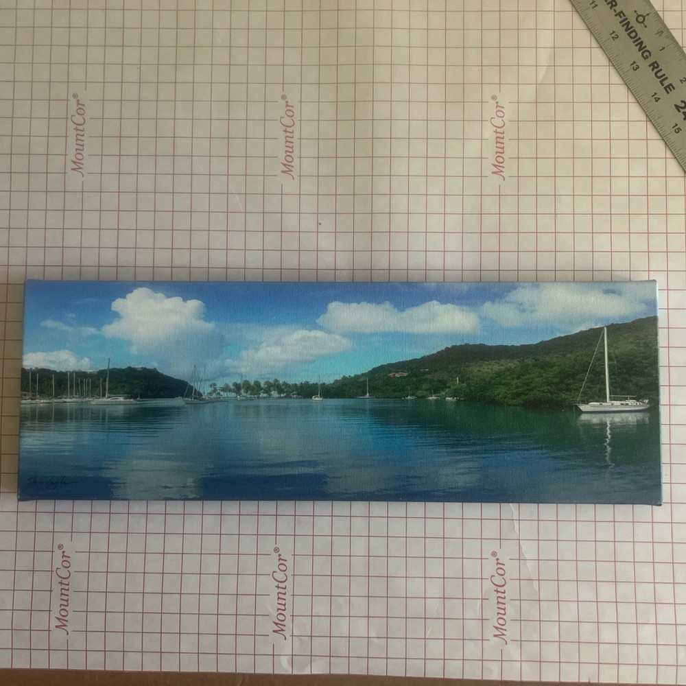 Photo On Stretched Canvas Honeymoon Island, St Thomas US Virgin Islands 5.5”x16”