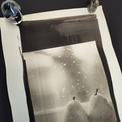 Artist Signed Titled Numbered Black white Pear Photograph 14×12