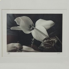 Steven Michael Bogdonas | Original Hand-Printed Photo of Flowers (2002)