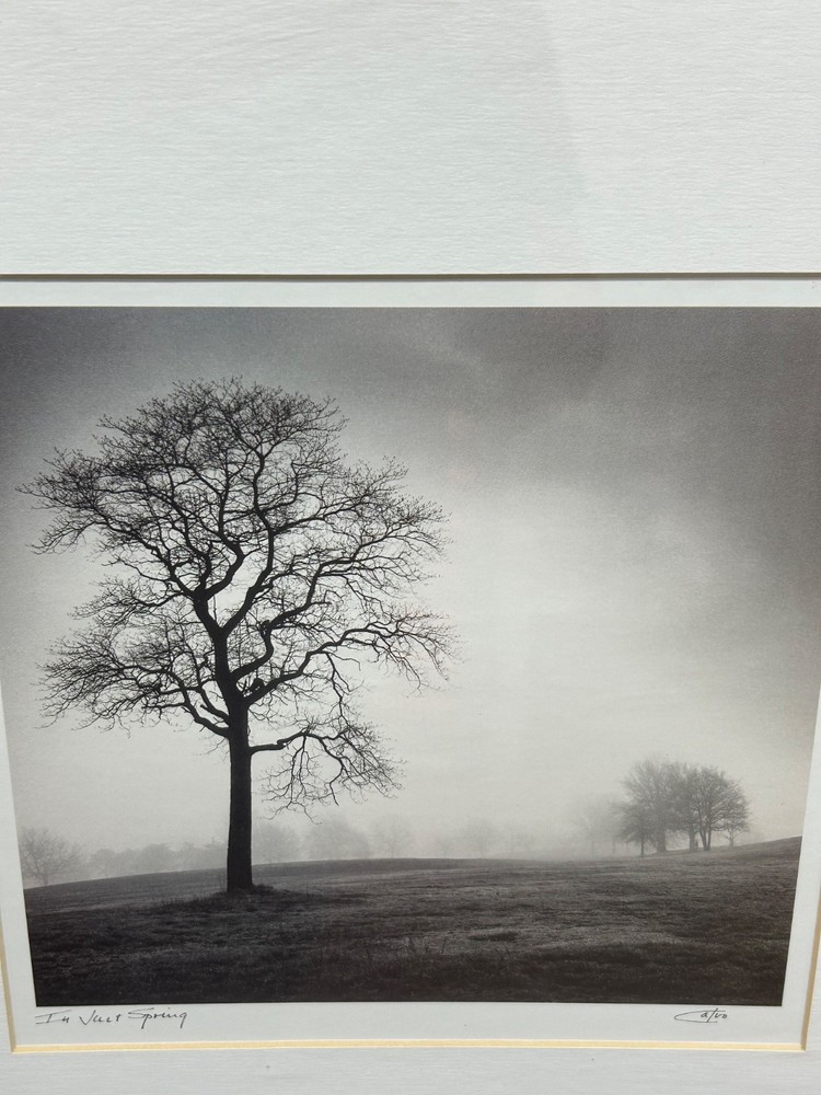 Richard Calvo ‘In Just Spring’ Framed Black & White Landscape Tree Photograph