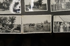 Photo Bundle Lot Farmer Champion Sonderburg Technique Horse Field Work