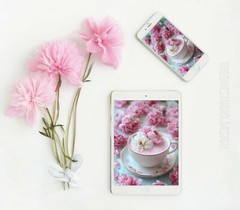 Digital Photo Pink Flowers Picture Mobile BG Image PC Wallpaper Background