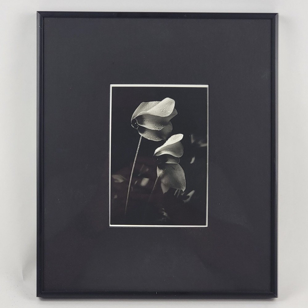 Steven Michael Bogdonas | Original Hand-Printed Flower Photo, 11″ x 13″
