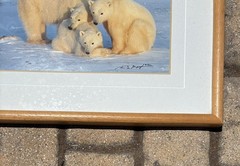 Thomas Mangelsen, Winter Solace, Polar Bears, Signed, Limited Edition