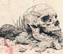 Digital Pic Desktop Wallpaper Background Skull Lizard Image Pencil Drawing Photo