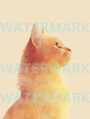 Digital Image Picture Abstract Art Cat Photo Wallpaper Animal Photograph