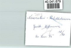 40041679 – 6431 Raboldshausen Gasthaus Hoffmann entertainer on organ