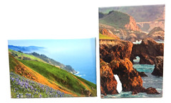 Lot of 2 BROCK BRADFORD Photographs Printed on Canvas ~ Big Sur ~ Ready to Hang