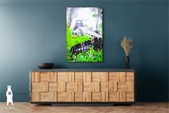Alligator – Fine Art Photography Prints – by Bear8Photo