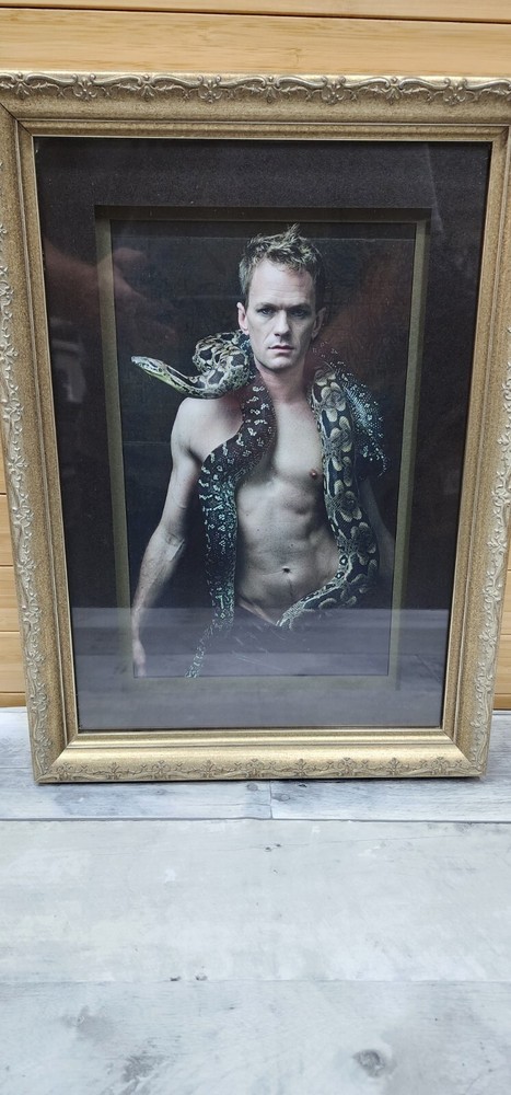 Neil Patrick Harris with a Dumeril’s boa and a diamond python portrait