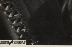 28×23 Beautiful Archive Photo 1946 by Photographer Roger Corbeau by Simone Signoret