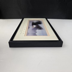 Excellence King Of The Skies Eagle Photo Art Framed Frank Oberle Photography