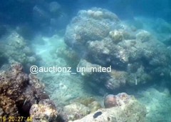 Digital Image Picture Photo Pic Andaman India underwater coral life scuba AND008